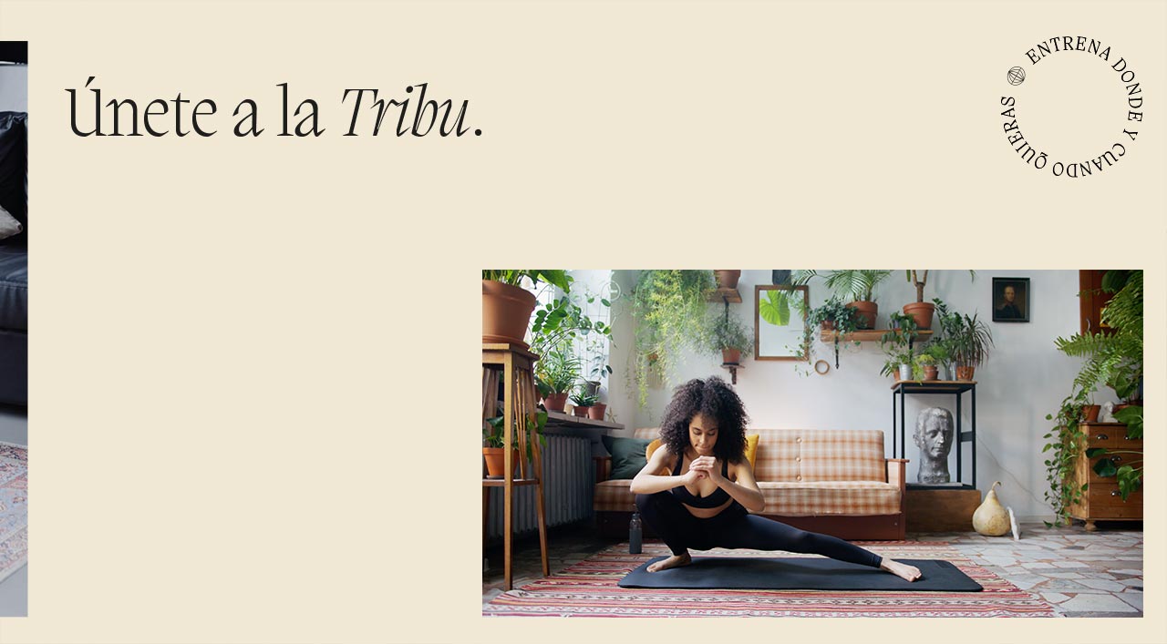 Tribu Kula