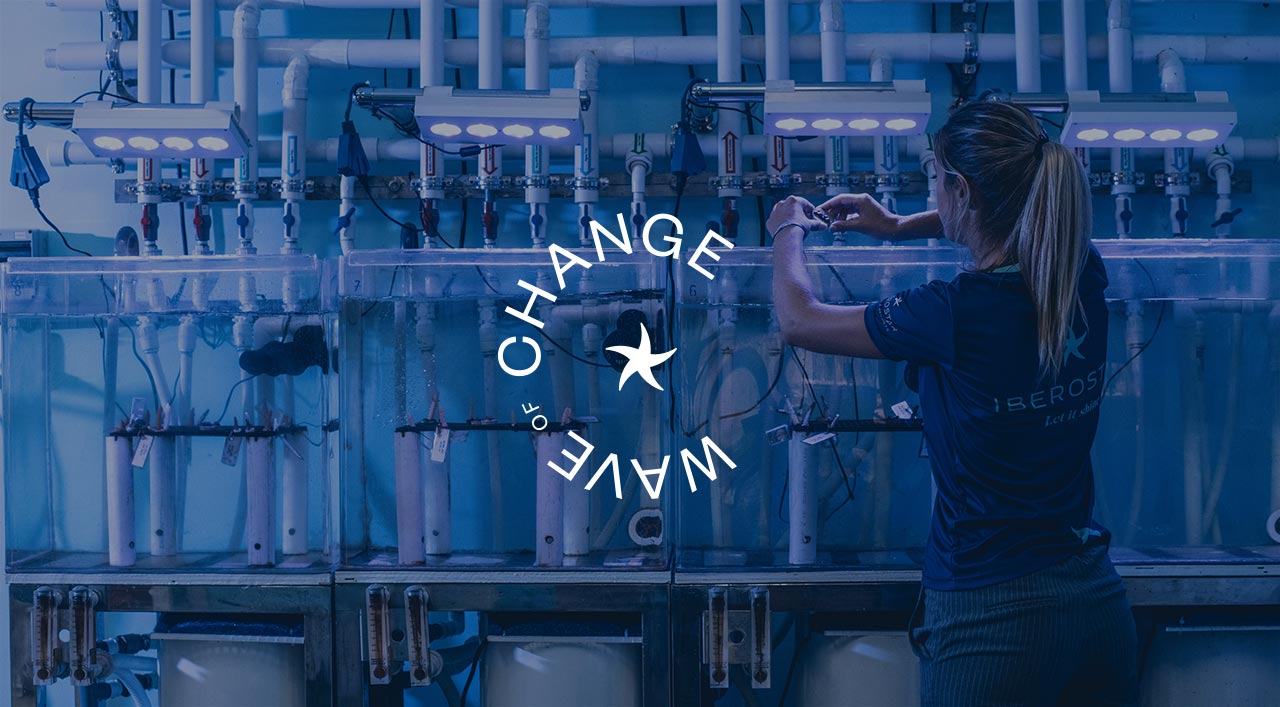 Wave of Change